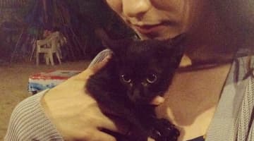 柴咲コウの猫好きが伝わる動画＆画像！愛猫が亡くなったって本当？のサムネイル画像