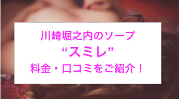 【裏情報】川崎堀之内のソープ“SUMIRE(スミレ)”は最大5,000円割引も？料金・口コミを公開！のサムネイル画像