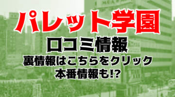 【体験談】宇都宮のデリヘル"パレット学園"はルックスもサービスも妥協しない風俗店！料金・口コミを公開！のサムネイル画像