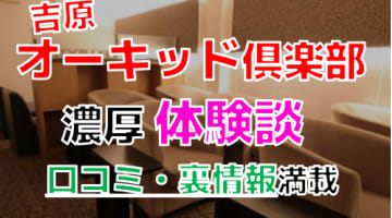 【2024年最新情報】東京・吉原のオーキッド倶楽部での濃厚体験談！料金・口コミ・おすすめ嬢・本番情報を網羅！のサムネイル画像