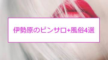 【本番情報】伊勢原のおすすめピンサロ1店と人気の風俗店3店を紹介！相場料金やシステムについても解説【2024年】のサムネイル画像