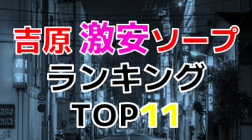 吉原のおすすめ激安ソープ・人気ランキングTOP11【2024最新】のサムネイル画像