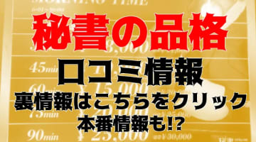 NN/NS体験談！大阪日本橋のヘルス"秘書の品格"でセクハラしながら本番はあり？料金・口コミを公開！【2024年】のサムネイル画像