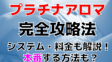  【体験談】川越のメンズエステ"プラチナアロマの抜き・本番情報を調査！料金・口コミも紹介！のサムネイル画像