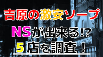 【2024年本番情報】吉原で実際に遊んだ激安ソープ12選！本当にNS・NNが出来るのか体当たり調査！のサムネイル画像