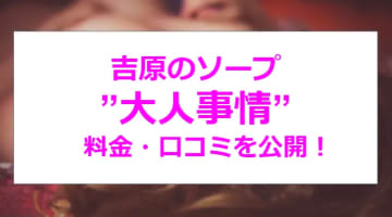 【裏情報】吉原のソープ"大人事情 "で濃厚なフェラに夢中！NN/NS情報・料金・口コミを公開！のサムネイル