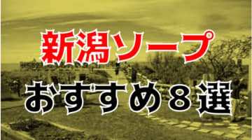 NN/NS体験談！新潟のソープ8店を全30店舗から厳選！【2024年】のサムネイル