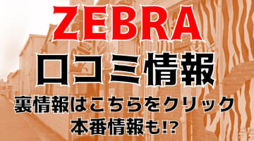 【体験談】高崎のピンサロ“ZEBRA(ゼブラ)”でリーズナブルに遊ぶ！料金・口コミを大公開！のサムネイル画像