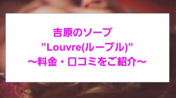 【裏情報】吉原の高級ソープ"Louvre(ルーブル)"の潜入体験談！総額・口コミを公開！【2024年】のサムネイル画像