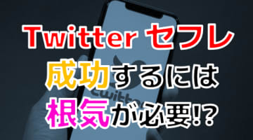 【2024年最新情報】ツイッターでのセフレ作りは根気で勝負！飽き性にはおすすめできないって本当！？のサムネイル