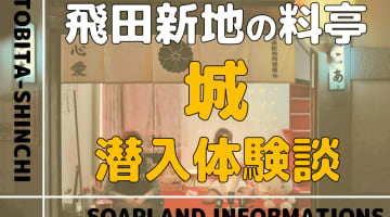 飛田新地の料亭”城”の潜入体験談！NN/NS情報・料金・遊び方を紹介！【2026年】のサムネイル画像