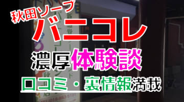 【2024年最新情報】秋田のソープ”バニーコレクション”での濃厚体験談！料金・口コミ・NN/NS情報を網羅！のサムネイル画像