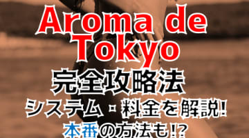 【体験談】出張エステ"Aroma de TOKYO(アロマデトウキョウ)岐阜店"で悪魔を召喚する極上マッサージ！料金・口コミを徹底公開！のサムネイル画像