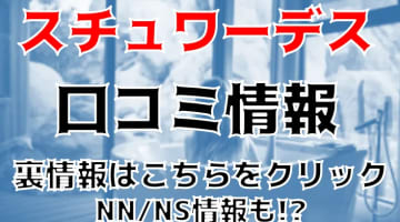 【体験レポ】八王子のソープ”スチュワーデス”はNS/NNあり？料金・口コミを公開！のサムネイル画像