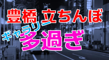 【2025年裏風俗事情】豊橋の立ちんぼはギャラリー前での交渉必至！？今なお残る出没スポットを大公開！のサムネイル画像