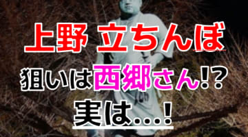 【2024年裏情報】上野の立ちんぼは上級者向けってマジ！？期待のスポットはあの有名公園に集中していた！のサムネイル画像