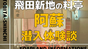 飛田新地の料亭”阿蘇”の潜入体験談！NN/NS情報・料金・遊び方を紹介！【2026年】のサムネイル画像