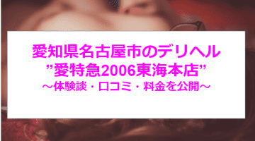 【裏情報】名古屋のデリヘル”愛特急2006東海本店”で美魔女相手にハメ倒す！？料金・口コミを公開！のサムネイル画像