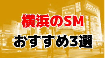  本番/NN/NS体験談！横浜のおすすめSMクラブ3店を全15店舗から厳選！のサムネイル