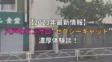 【2024年最新情報】青森・八戸のピンサロ"セクシーキャット"での濃厚体験談！料金・口コミ・おすすめ嬢・本番情報を網羅！のサムネイル