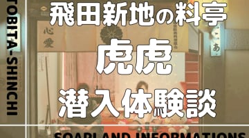 飛田新地の料亭”虎虎”の潜入体験談！NN/NS情報・料金・遊び方を紹介！【2025年】のサムネイル画像