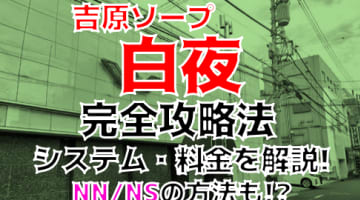 NN/NS体験談！東京・吉原のソープ“白夜”で人妻の度肝を抜く濃厚プレイ！料金・口コミを公開！【2024年】のサムネイル画像