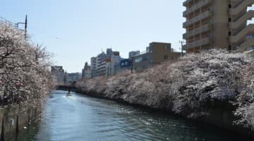 曙町のおすすめピンサロ2店を全19店舗から厳選！のサムネイル画像