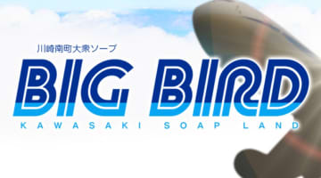 【体験談】川崎のソープ"ビッグバード"はコスパ良くNS/NNあり？料金・口コミを公開！のサムネイル画像
