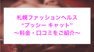 【裏情報】札幌すすきのにあるヘルス”プッシー キャット”でロリとH！料金・口コミを公開！のサムネイル画像