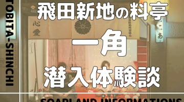 飛田新地の料亭”木春”の潜入体験談！NN/NS情報・料金・遊び方を紹介！【2024年】のサムネイル画像