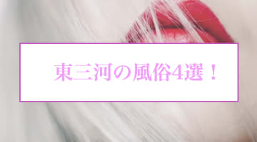【本番情報】東三河のおすすめ風俗店4選！エロ人妻と生ハメ交渉体験談！【基盤/円盤/NN/NS】のサムネイル画像