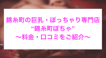 【裏情報】デリヘル”錦糸町ぽちゃ”でぽっちゃり美女と濃厚体験！料金・口コミを公開！のサムネイル画像