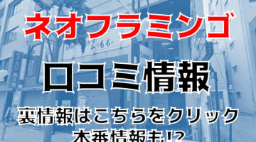 【裏情報】川崎のピンサロ"ネオフラミンゴ"でイラマチオ！料金・口コミを公開！のサムネイル画像