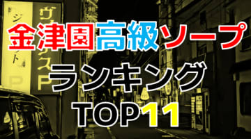 岐阜・金津園の高級ソープ・人気ランキングTOP11!【2024年最新】のサムネイル