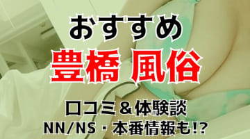 【2025年】愛知・豊橋の風俗8店を全50店舗から厳選！【本番/NN/NS体験談】のサムネイル画像