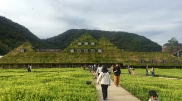 近江八幡のカフェ8選！インスタ映えする八幡堀沿い・びわ湖畔の絶景を楽しみながらお茶しよう！のサムネイル画像