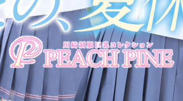 【2026年最新】神奈川・川崎のソープ”ピーチパイン”での濃厚体験談！料金・口コミ・おすすめ嬢・NN/NS情報を網羅！のサムネイル画像