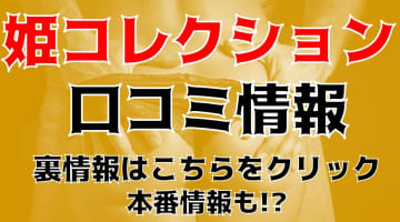 【裏情報】高崎・前橋のデリヘル”姫コレクション”はスタイル抜群の美女ばかり！料金・口コミを公開！のサムネイル画像