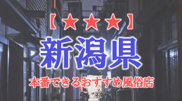 【新潟市・長岡】新潟県で本番できる風俗店10選！のサムネイル画像