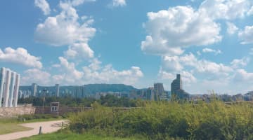 韓国在住者が紹介！ソウルの気候の1年間の違いとベストシーズンまとめ！のサムネイル画像
