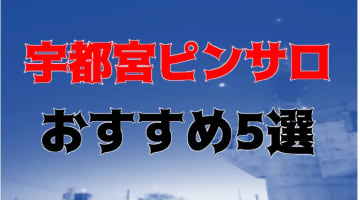 本番体験談！宇都宮のピンサロ4店を全91店舗から厳選！【2024年おすすめ】のサムネイル