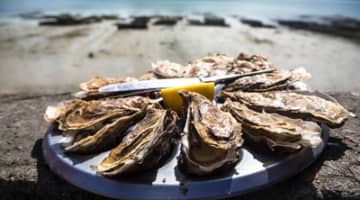 牡蠣を食べると性欲が増すってホント!?今日ヤりたい人は食べるべし！精液増進の秘密を徹底解析！のサムネイル画像