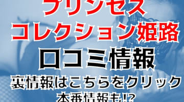 【体験談】姫路のデリヘル”プリンセスセレクション姫路”アナル舐めで興奮！料金・口コミを公開！のサムネイル画像