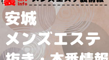 【安城】本番・抜きありと噂のおすすめメンズエステ7選！【基盤・円盤裏情報】のサムネイル
