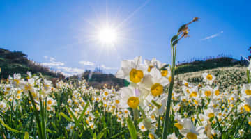 親戚同士の芸能人・有名人20選！あの二人が血縁関係？のサムネイル画像