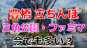 【2024年裏風俗事情】豊橋の立ちんぼスポットはギャラリーも客引きも入り乱れ状態！あの公園にはかわいい日本人が出る！？のサムネイル画像