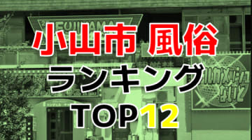 栃木小山市のおすすめ風俗・人気ランキングTOP12【2025年最新】のサムネイル画像