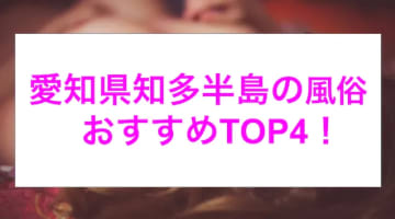 愛知県知多半島のおすすめ風俗4選！恥じらいながら濃厚フェラに我慢の限界！のサムネイル画像