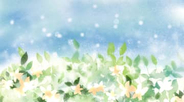 【エロ主婦が語る】ジャスミン茶で性欲が増す？他にも性欲アップする飲み物はある？のサムネイル画像