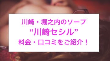 【裏情報】堀之内のソープ“川崎セシル”でパイパン娘とH！料金・口コミを公開！のサムネイル画像